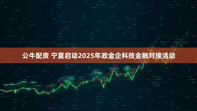 公牛配资 宁夏启动2025年政金企科技金融对接活动