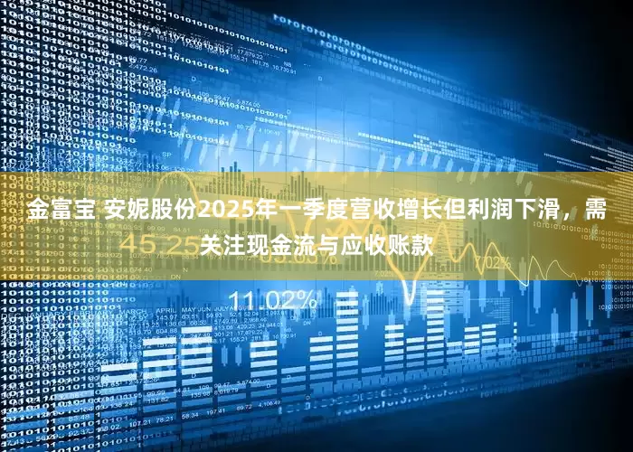 金富宝 安妮股份2025年一季度营收增长但利润下滑，需关注现金流与应收账款