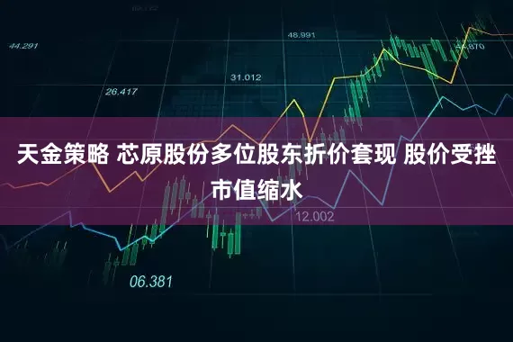 天金策略 芯原股份多位股东折价套现 股价受挫市值缩水