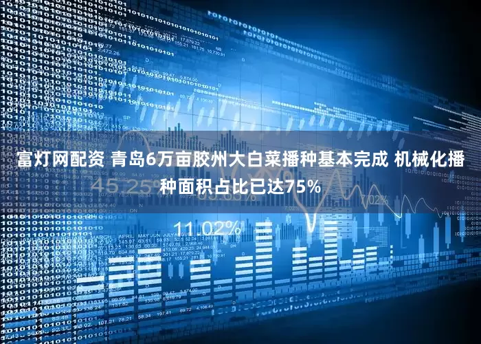 富灯网配资 青岛6万亩胶州大白菜播种基本完成 机械化播种面积占比已达75%